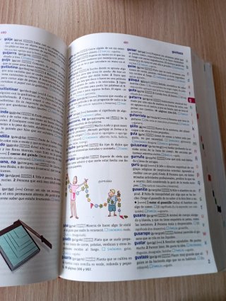 Diccionario básico de la lengua Española primaria