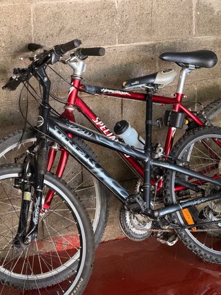 4 Bicicletas MTB Trek y Specialized - Lote complet