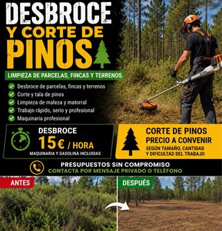 Desbroce y corte de pinos profesional