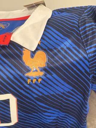 Camiseta Francia Nike 10