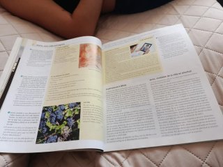 Religión católica, 4 ESO