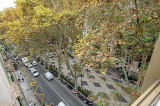 Piso en alquiler en La Seu - Cort - Monti-sión en Palma de Mallorca