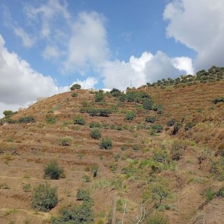 Casa rural en venta en Almuñecar en Almuñécar