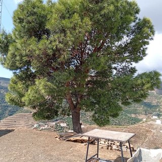 Casa rural en venta en Almuñecar en Almuñécar