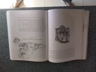 El libro de los 101 cuentos los cuentos más bel...