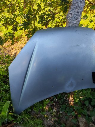 Capó Peugeot 206