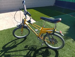 Rabasa Derbi Panther cambio por ciclomotor