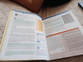Lengua castellana y literatura, ESO 4