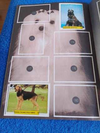 Álbum Los Perros Tus Amigos Cromos Chicles