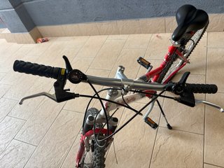 Bicicleta Globe Trotter Montaña 26