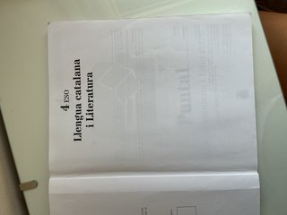 Puntal 4. Llengua catalana i Literatura 4 ESO