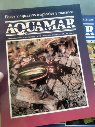 Revista de acuarios,  años 80