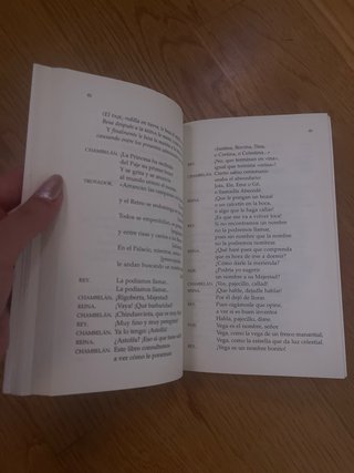La verdadera y singular historia de la princesa...