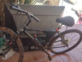 Bicicleta de montaña F