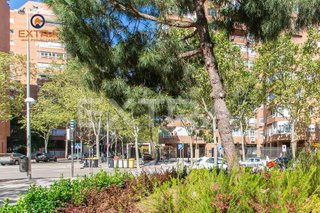 Local comercial en venta en Prosperidad en Madrid