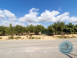 Terreno en venta en Crevillent