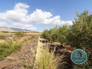 Terreno en venta en Crevillent