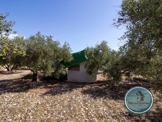 Terreno en venta en Crevillent
