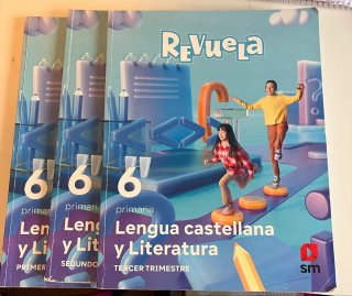 Lote libros lengua castellana y literatura de 6to