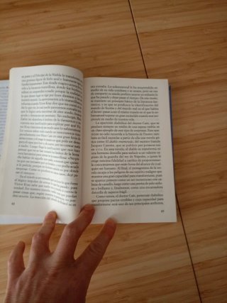 El principe de la niebla