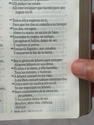 Biblia RVR60 Tamaño manual letra grande con cierre