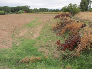 Terreno en venta en Villamediana de Iregua