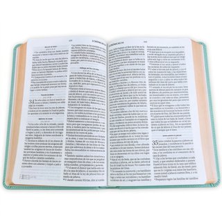 Biblia obsequios y premios RVR60. Letra Grande