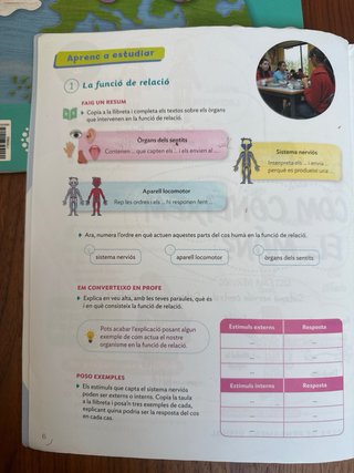 Coneixement del Medi, 6 Primària, Projecte Cons...