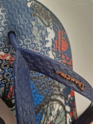 Chanclas Ipanema Multicolor