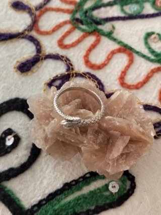 Anillo Serpiente Plata Ajustable