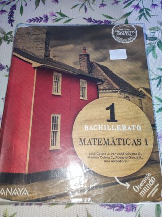 Matemáticas I 1 Bachillerato