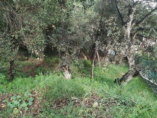 Terreno en venta en Cabanyes-Mas Ambrós-Mas Pallí en Calonge