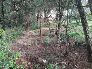 Terreno en venta en Cabanyes-Mas Ambrós-Mas Pallí en Calonge