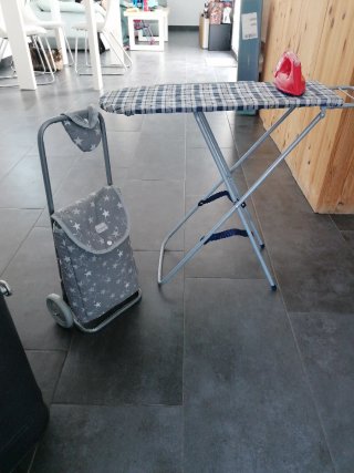 Plancha y carrito de la compra infantil