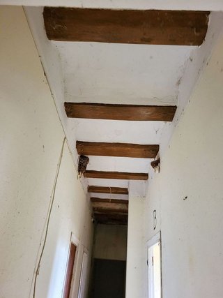 Cortijo en venta en Pedanías en Teruel