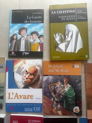 Lote de libros Eso NSD