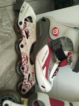 Patines discover 37/38