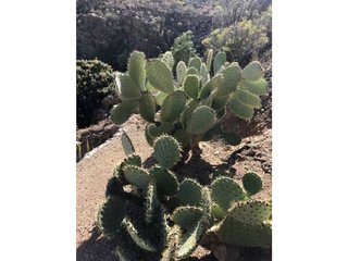Terreno en venta en El Desierto en Granadilla de Abona