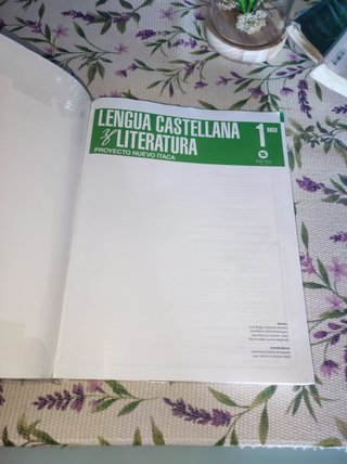 Lengua Castellana y literatura 1° Bachillerato