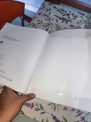 Lengua Castellana y literatura 1° Bachillerato