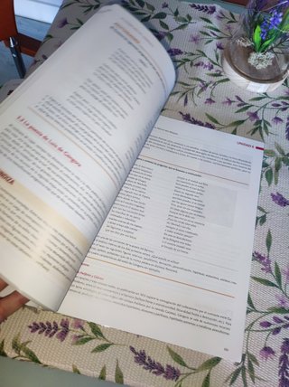 Lengua Castellana y literatura 1° Bachillerato
