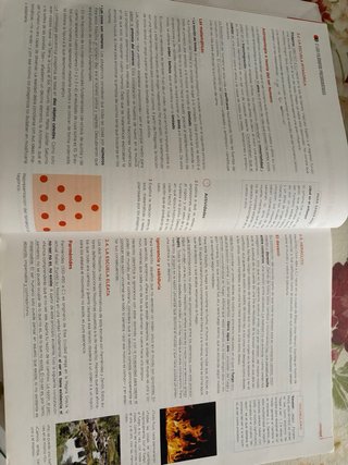 Historia de la Filosofía, 2 Bachillerato