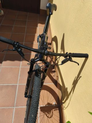 Berria bravo br, carbono 29,"