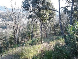 Terreno en venta en Sant Celoni