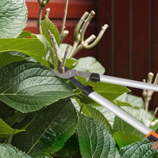 Set da Giardinaggio 4 Pezzi con Cesoie Troncarami