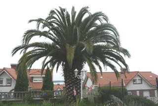 Casa pareada en venta en Castro en Castro Urdiales