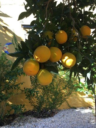 Cortijo en venta en Monte los Almendros - El Pargo - Costa Aguilera en Salobreña