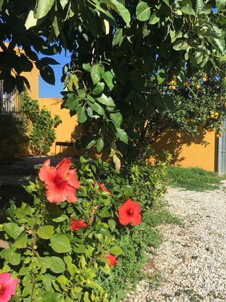 Cortijo en venta en Monte los Almendros - El Pargo - Costa Aguilera en Salobreña