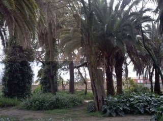 Casa rural en venta en Carolina (La)