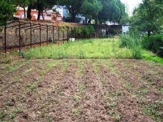 Casa rural en venta en Carolina (La)